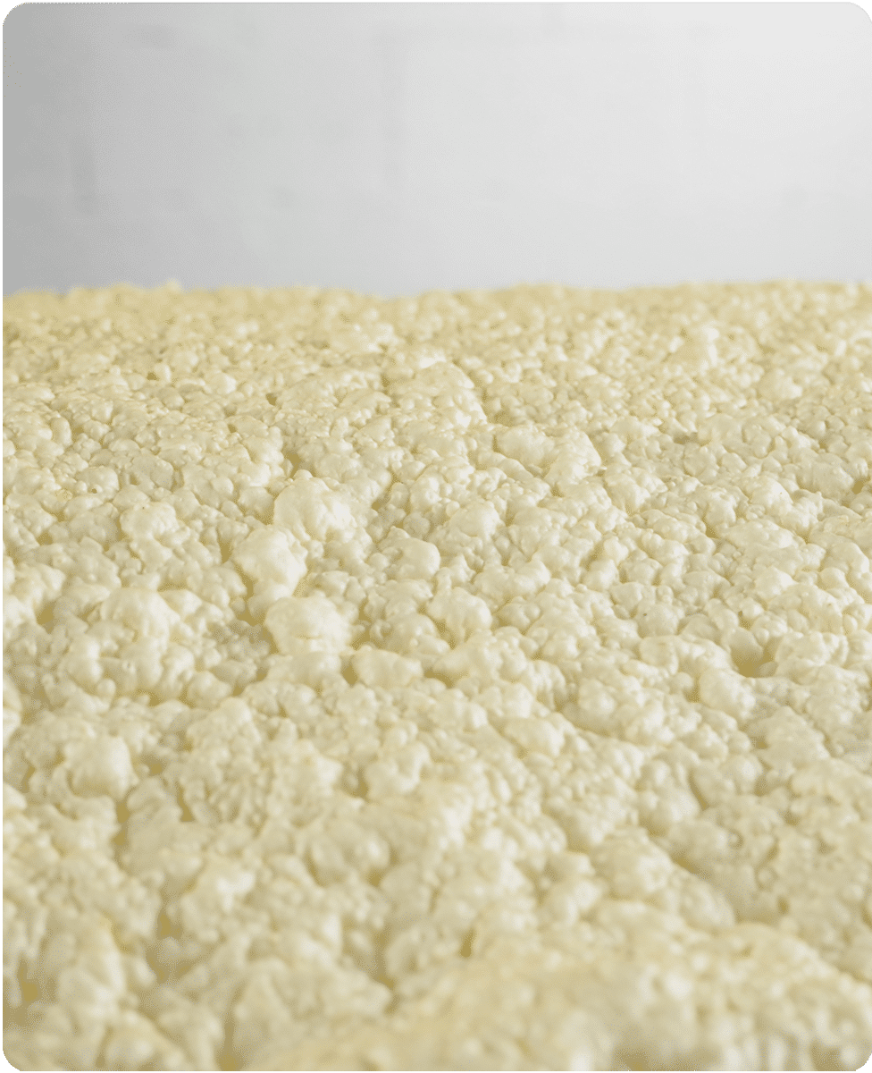3.1. G 125A IDEAL FOR POLYURETHANE